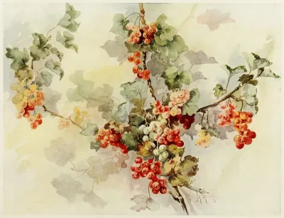 Currants 2