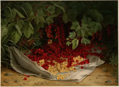 Currants