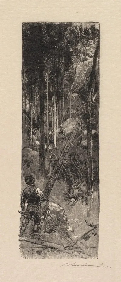 Cutting Of Pines