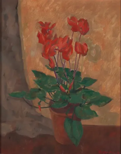 Cyclamen 8