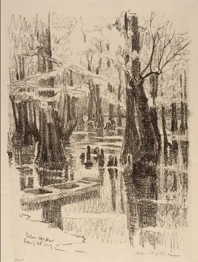 Cypress Swamp