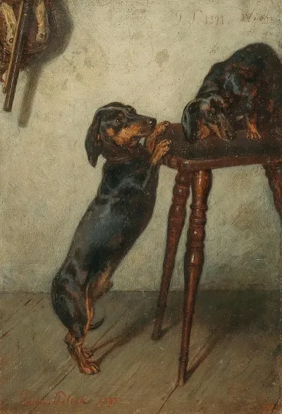 Dachshunde
