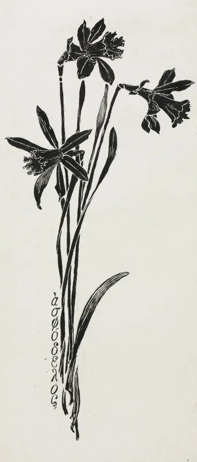 Daffodils 3