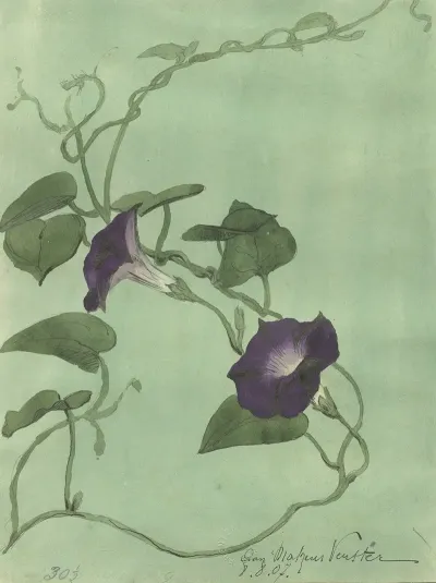 Dagbloem