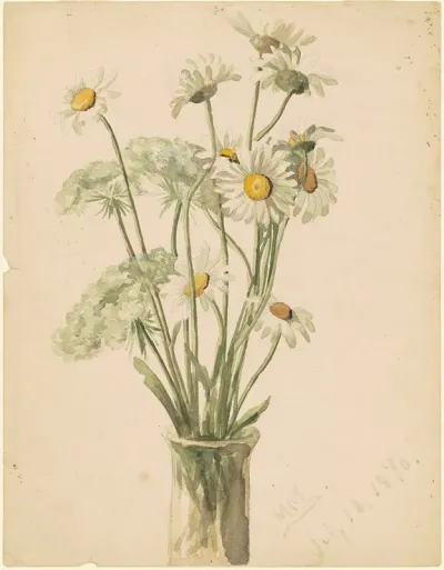 Daisies And Queen Anns Lace