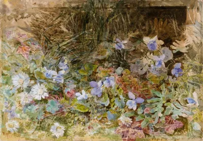 Daisies And Violets