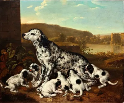 Dalmatian Dog With Puppies