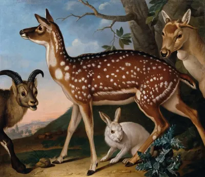 Damwild Steinbock Und Hase
