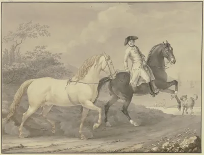 Danish Horses