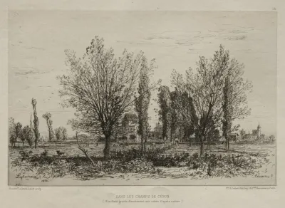 Dans Les Champs De Cenon