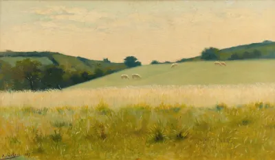 Dans Les Champs De Dielette Manche