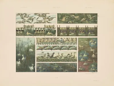 Das Thier In Der Decorativen Kunst Pl 20