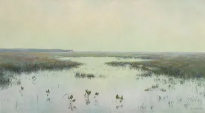 Dawn Over Water Marshes