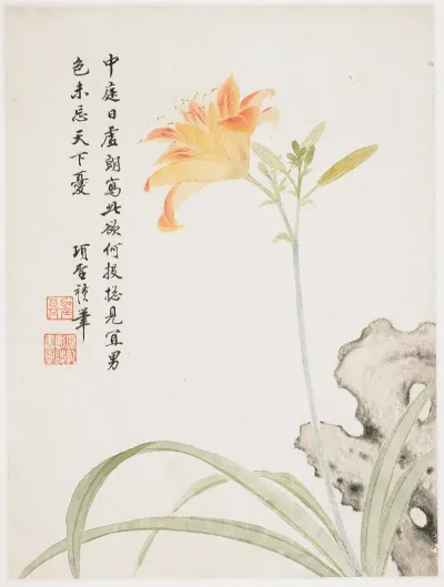 Day Lily