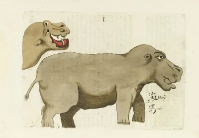 De Caballo Marino