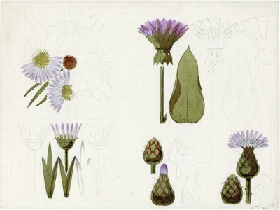 De Distel 2
