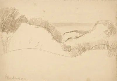 De Duinen