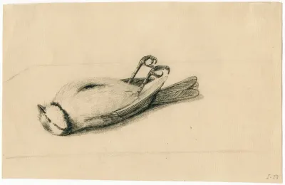 Dead Bluetit On His Back