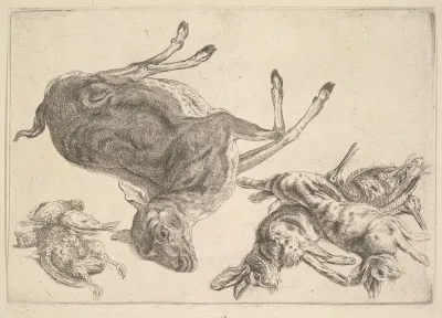 Dead Deer Hares And Game