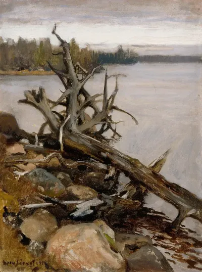 Dead Pine In The Water