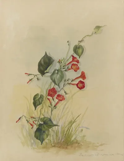 Deborah Griscom Passmore Watercolor Album Pl 34
