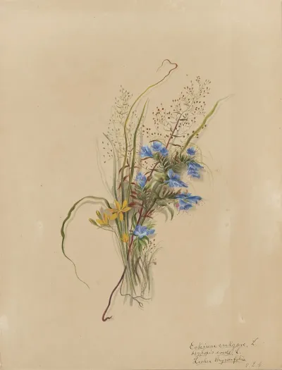 Deborah Griscom Passmore Watercolor Album Pl 37