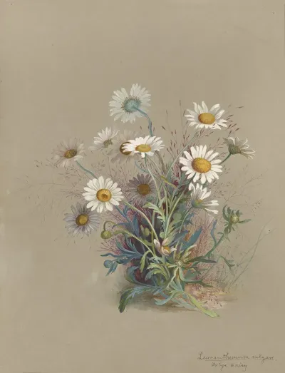Deborah Griscom Passmore Watercolor Album Pl 52