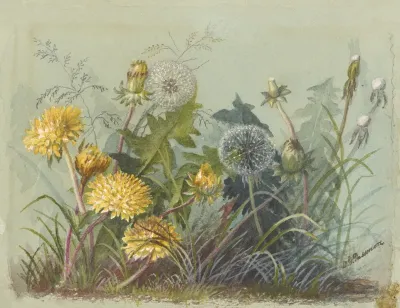Deborah Griscom Passmore Watercolor Album Pl 60
