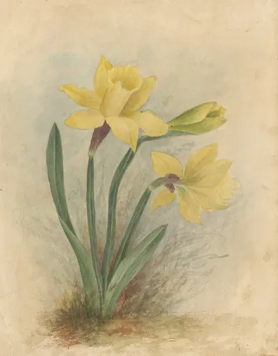 Deborah Griscom Passmore Watercolor Album Pl 64