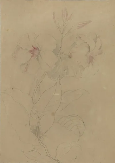 Deborah Griscom Passmore Watercolor Album Pl 78