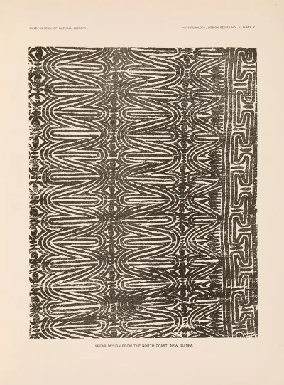 Decorative Art Of New Guinea Pl 08