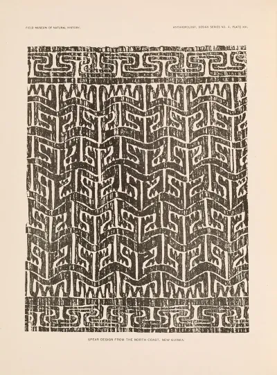 Decorative Art Of New Guinea Pl 11