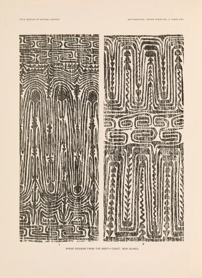 Decorative Art Of New Guinea Pl 15