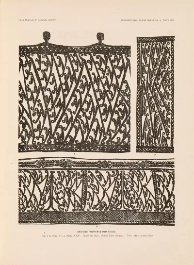 Decorative Art Of New Guinea Pl 22