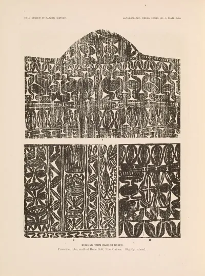 Decorative Art Of New Guinea Pl 25
