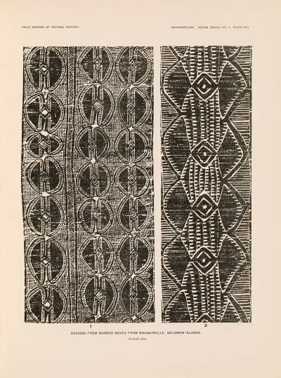 Decorative Art Of New Guinea Pl 26