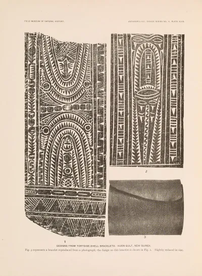 Decorative Art Of New Guinea Pl 39
