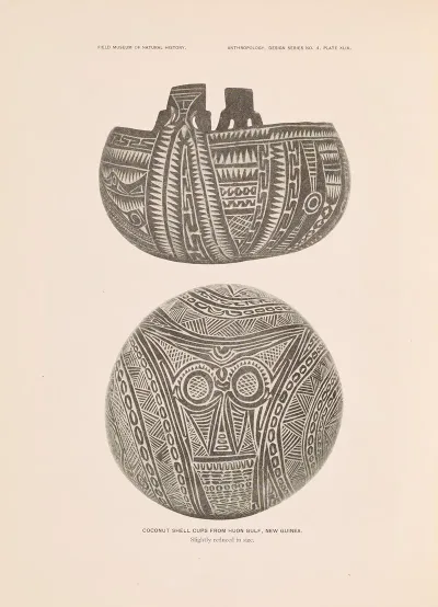Decorative Art Of New Guinea Pl 41