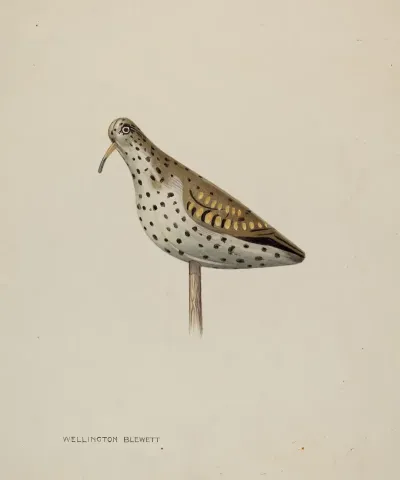 Decoy 10