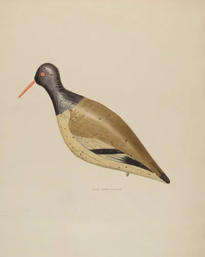 Decoy 8