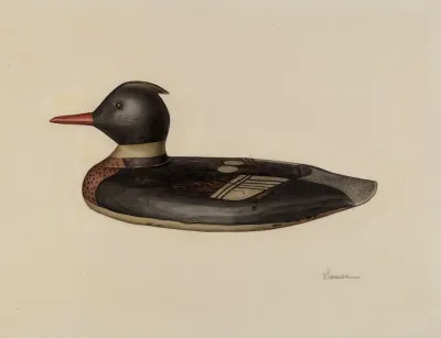 Decoy 9