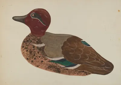 Decoy Duck 3