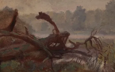 Deep Forest Windthrows Sketch For A Painting