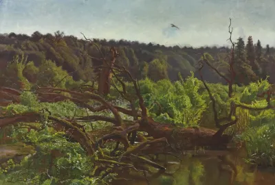 Deep Forest Windthrows