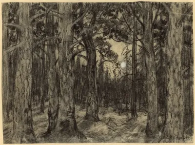 Deep In The Woods Of The Krasnoyarsk Taiga