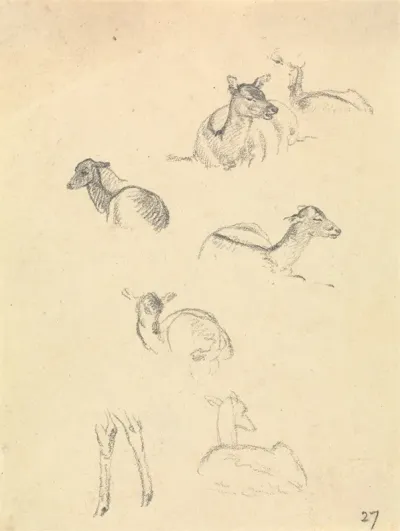 Deer 2