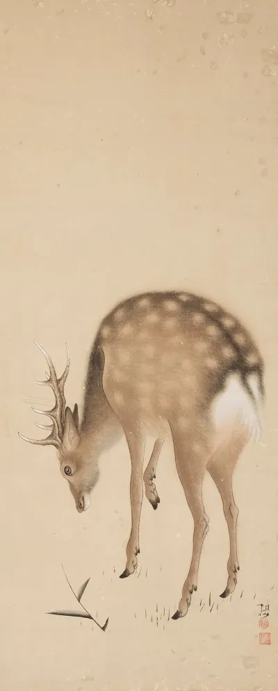 Deer 4