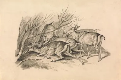 Deer Before A Thicket