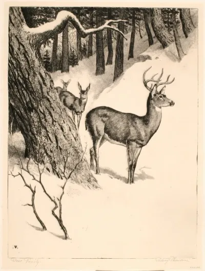 Deer Family