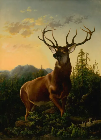 Deer In Forest Landscape